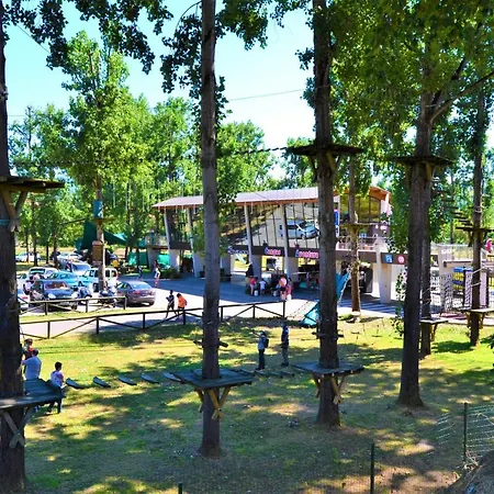 La Casina De Orfeo Cuenco Vv-1901-a *