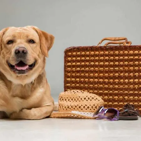 La Casina De Orfeo Cuenco Vv-1901-a Onís